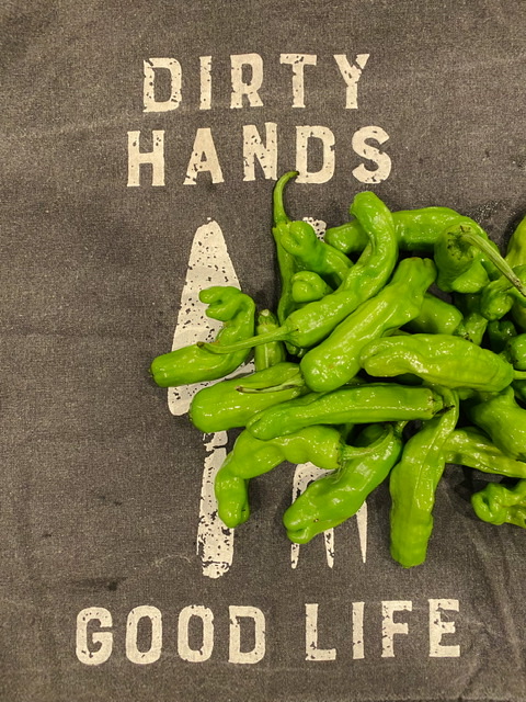 shishito peppers laying on a towel that reads dirty hands good life