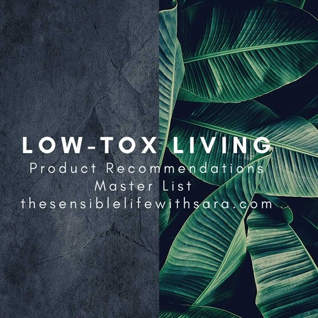 left half of image is dark grey concrete and right half is large green leaves with the words low-tox living product recommendations master list written on it to promote safe swaps