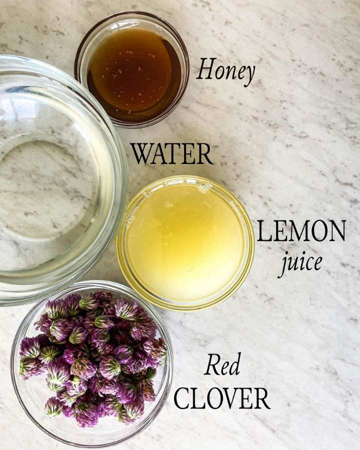 ingredients in bowls to made foraged red clover lemonade 