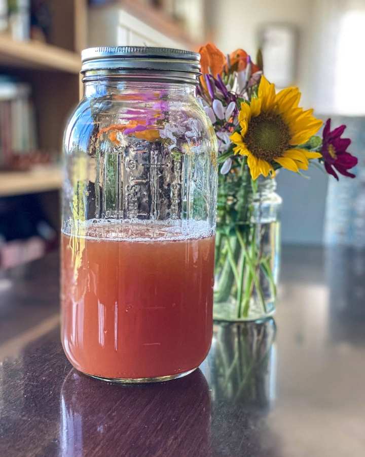 jar of foraged red clover lemonade