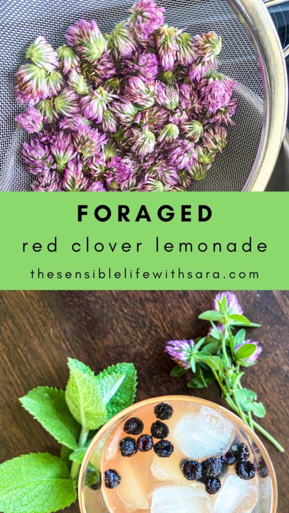 red clover next to a glass of foraged red clover lemonade 