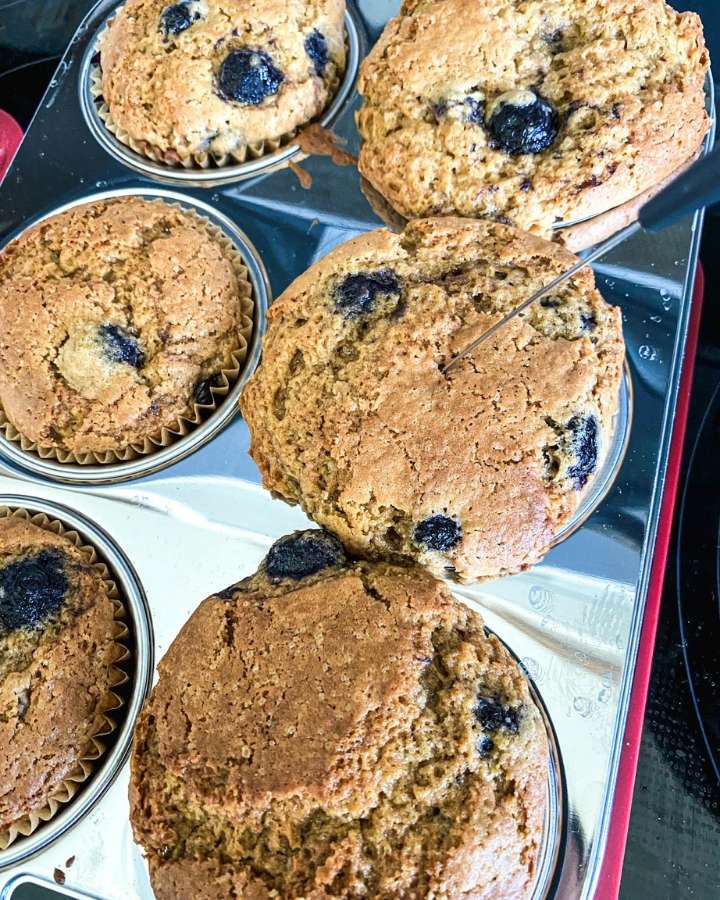 sourdough blueberry muffins being checked for doneness