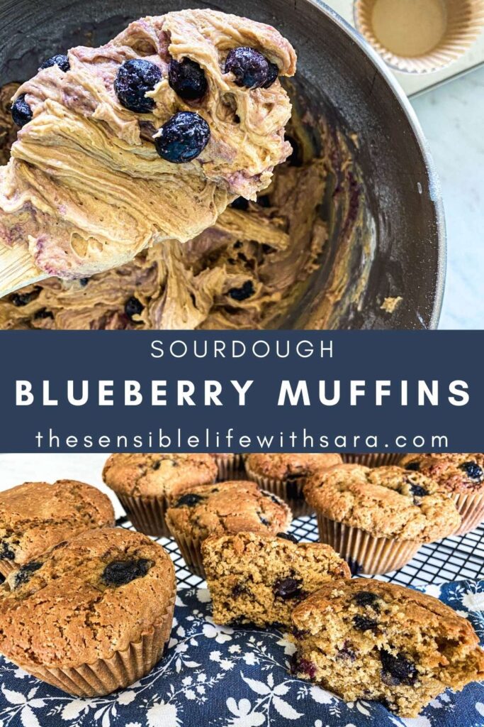 sourdough blueberry muffin batter next to baked muffins