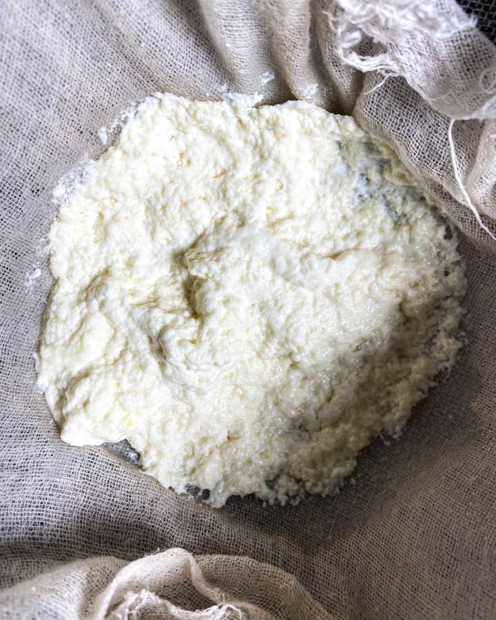 ricotta cheese in cheesecloth